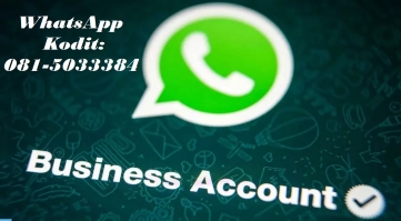 WhatsApp Business Account
