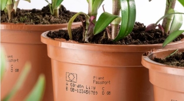 Passaporto delle piante